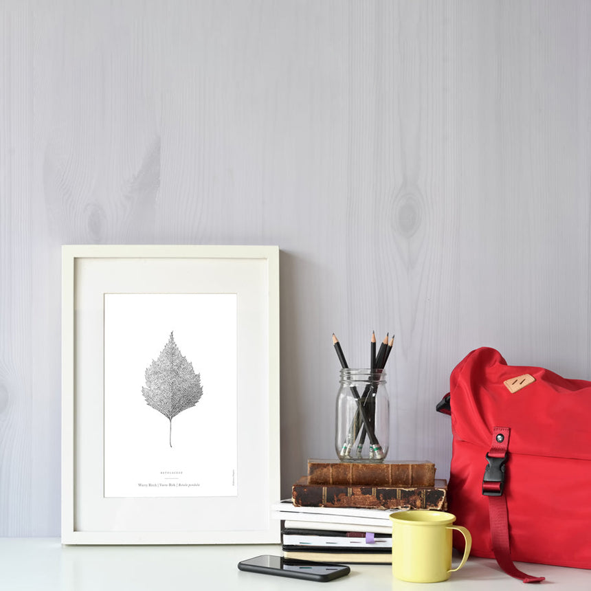 Warty Birch Leaf Art Print Home & Garden Darling Spring 