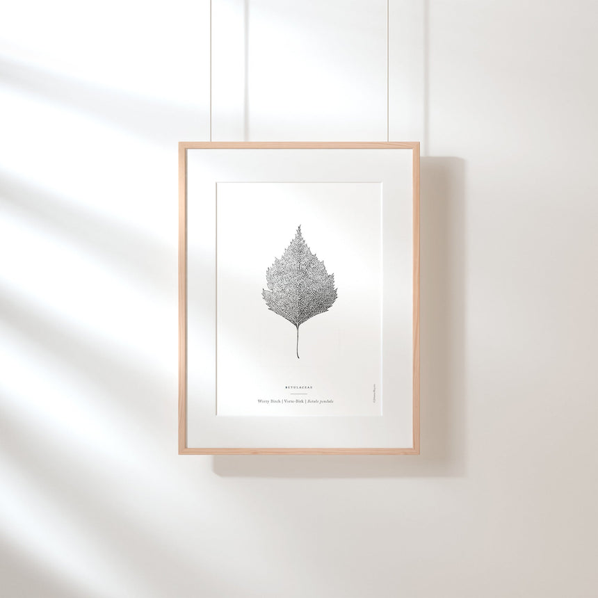 Warty Birch Leaf Art Print Home & Garden Darling Spring 