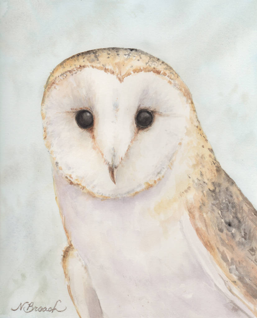 Barn Owl Fine Art Print matted with backing board ready to frame Art Print Wild Art Watercolors 