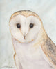 Barn Owl Fine Art Print matted with backing board ready to frame Art Print Wild Art Watercolors 