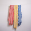 Aqua Stripe Turkish Towel Home & Garden Darling Spring 