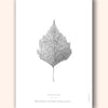 Warty Birch Leaf Art Print Home & Garden Darling Spring 