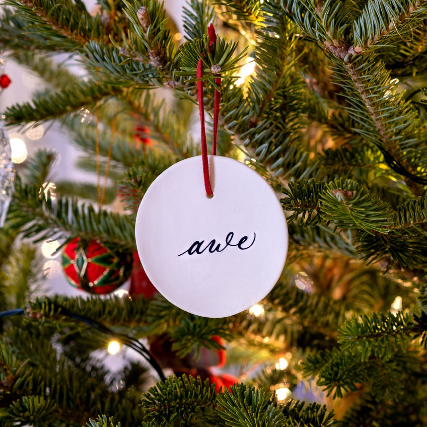 Awe & Glam Ornament Set of Two Home & Garden Darling Spring 