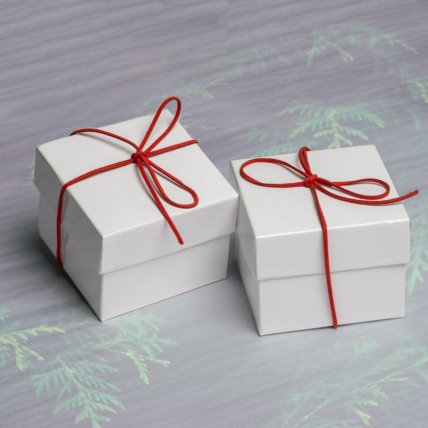 Awe & Glam Ornament Set of Two Home & Garden Darling Spring 