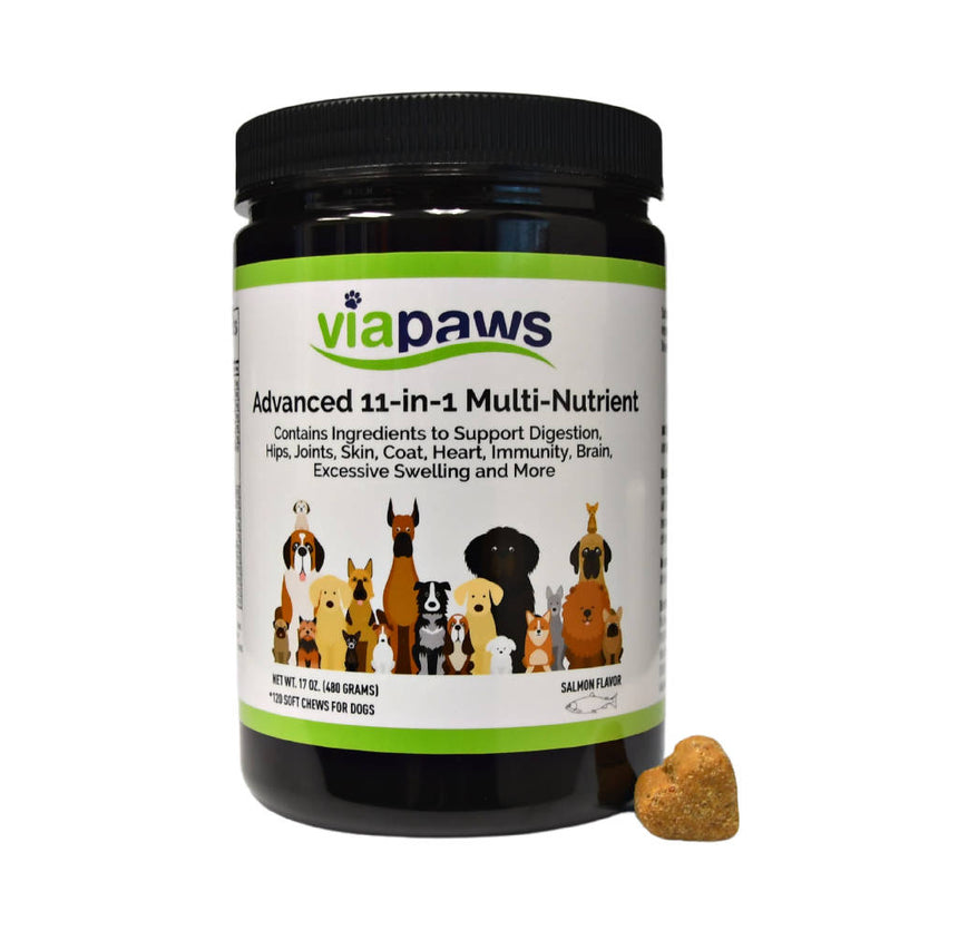 ViaPaws 11-in-1 Multi-Nutrient Soft Chews for Dogs - 120 Chews Formulated For All Breeds and Life Stages Pet Supplies Pristine Bay LLC dba Vianda 1 Pack 