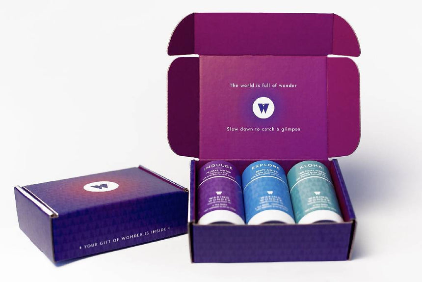 Waking Wonder Butterfly Pea Flower Tea Gift Box Tea Waking Wonder 