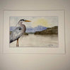 Barn Owl Fine Art Print matted with backing board ready to frame Art Print Wild Art Watercolors 
