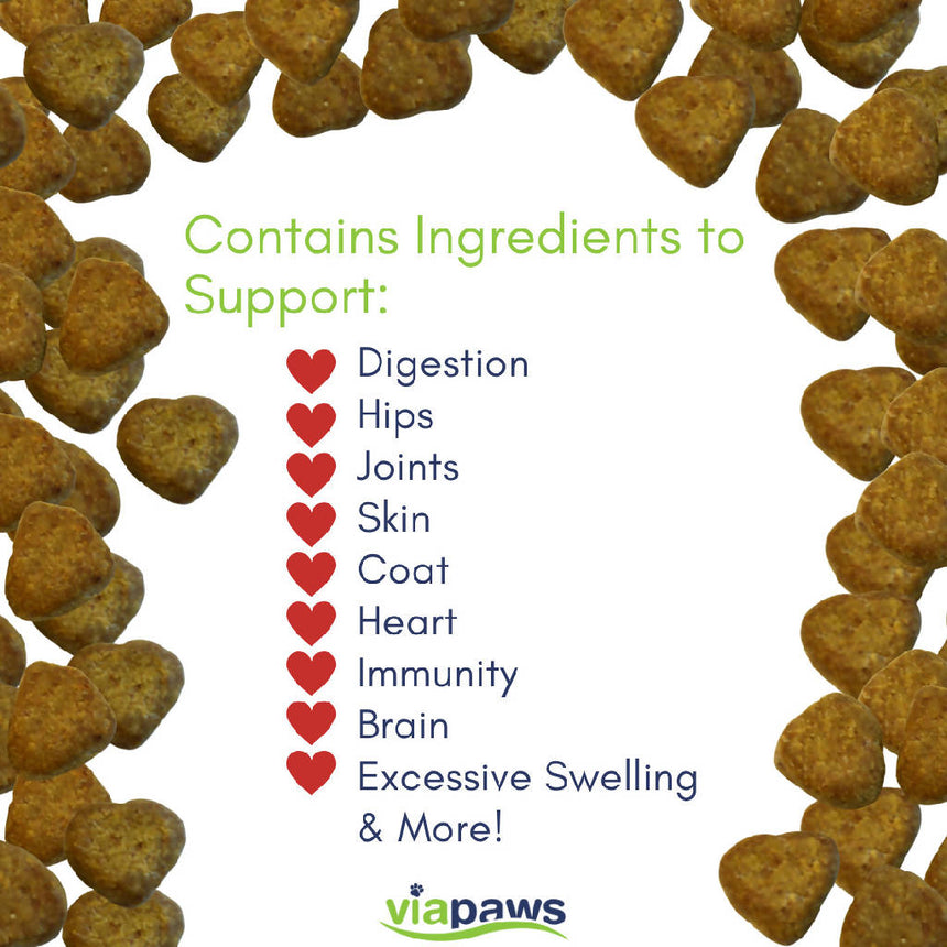 ViaPaws 11-in-1 Multi-Nutrient Soft Chews for Dogs - 120 Chews Formulated For All Breeds and Life Stages Pet Supplies Pristine Bay LLC dba Vianda 