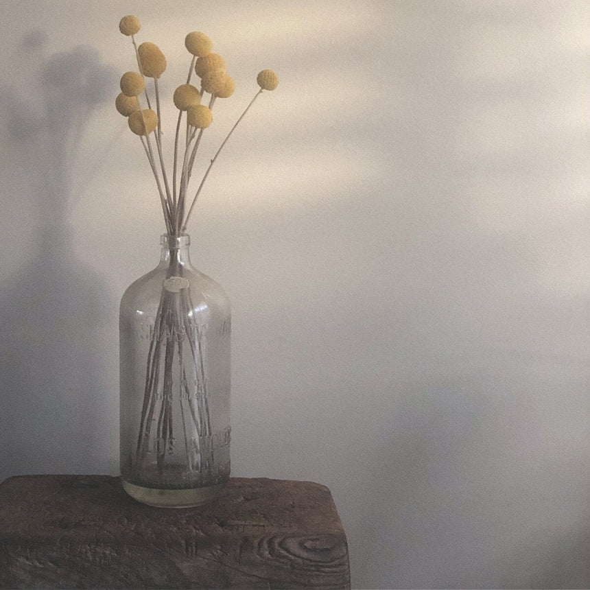 Vintage Shasta Glass Bottle